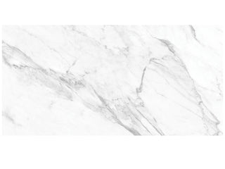 Statuarietto 12x24 Polished Tile & Stone by Anatolia Tile