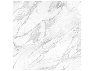 Statuarietto 24x24 Honed Tile & Stone by Anatolia Tile