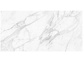 Statuarietto 24x48 Honed Tile & Stone by Anatolia Tile