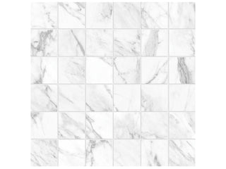 Statuarietto 2x2 Honed Tile & Stone by Anatolia Tile