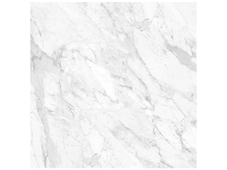 Statuarietto 32x32 Polished Tile & Stone by Anatolia Tile