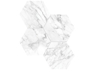 Statuarietto 6" Hexagon Polished Tile & Stone by Anatolia Tile