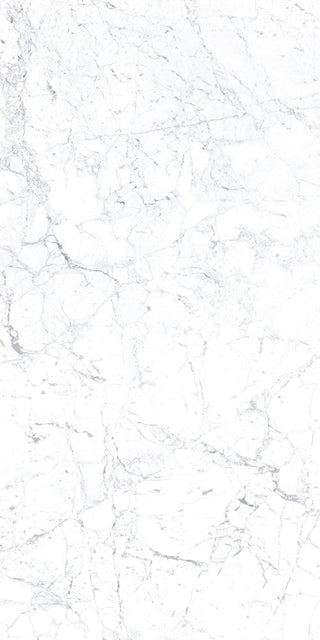 Statuarietto Polished 12x24 by Happy Floors