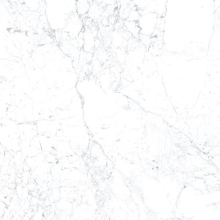 Statuarietto Polished 24x24 by Happy Floors