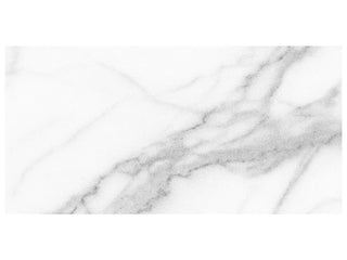 Statuario 12x24 Heritage Tile & Stone by Anatolia Tile