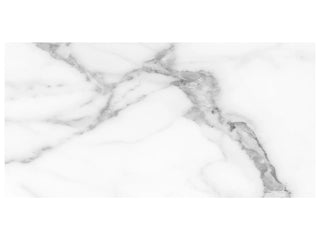 Statuario 12x24 Matte Tile & Stone by Anatolia Tile