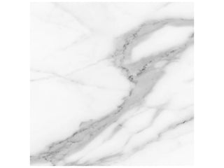 Statuario 20x20 Tile & Stone by Anatolia Tile