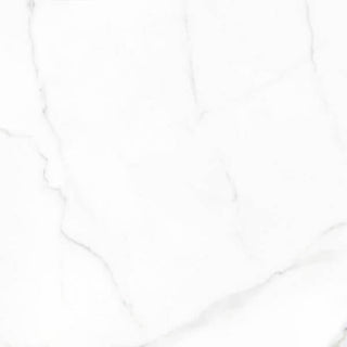 Statuario Glossy 24x24 Tile & Stone by Happy Floors