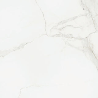 Statuario Luxe Polished 24x24 Tile & Stone by Happy Floors