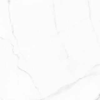Statuario Matte 24x24 Tile & Stone by Happy Floors
