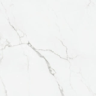 Statuario Matte 30x30 Tile & Stone by Happy Floors