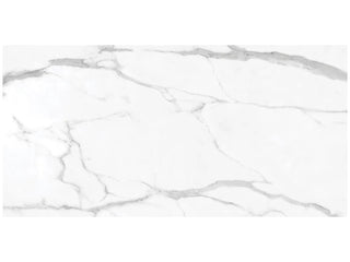 Statuario Nuovo 24x48 Honed Tile & Stone by Anatolia Tile