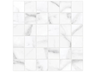 Statuario Nuovo 2x2 Honed Tile & Stone by Anatolia Tile