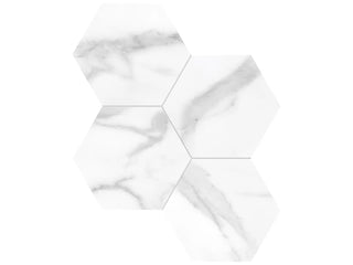 Statuario Nuovo 6" Hexagon Polished Tile & Stone by Anatolia Tile