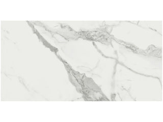Statuario Venato 12x24 Matte Tile & Stone by Anatolia Tile