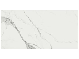 Statuario Venato 16x32 Polished Tile & Stone by Anatolia Tile