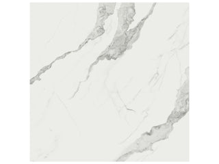 Statuario Venato 24x24 Polished Tile & Stone by Anatolia Tile