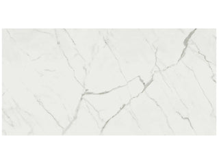 Statuario Venato 24x48" Tile & Stone by Anatolia Tile
