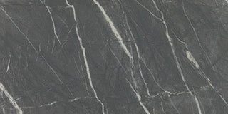 Steely Rectangle Polished Tile & Stone by American Olean
