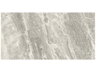 Stella Argento 12x24 Polished Tile & Stone by Anatolia Tile