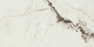 Summit Rectangle Polished Tile & Stone by American Olean