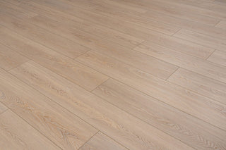 Sundance spc by Provenza