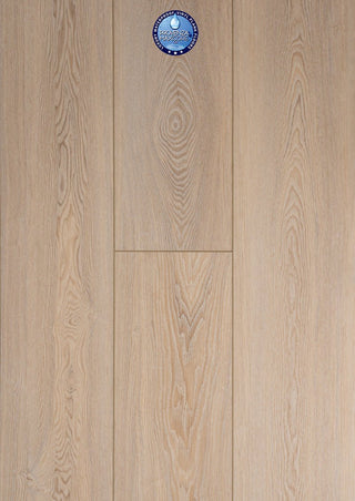 Sundance spc by Provenza