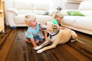 Sunset Engineered Hardwood by Johnson Hardwood