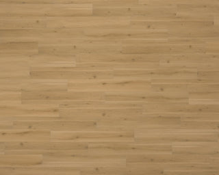 Swiss Oak - Nougat spc by Mannington