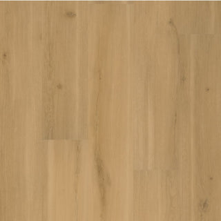 Swiss Oak - Praline spc by Mannington