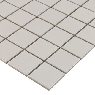 TAUPE MATTE 2X2 SQUARE PORC MOS Tile & Stone by Anthology Tile
