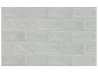 Tide 3x6 Glossy Tile & Stone by Anatolia Tile