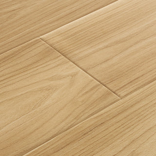 Timber - Sap spc by Mannington