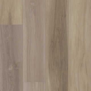 TITAN HD PLUS PLATINUM - Renewed Hickory Vinyl by Shaw Floors