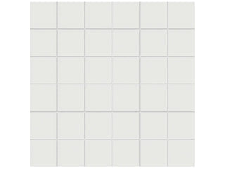 True White 2x2 Matte Tile & Stone by Anatolia Tile