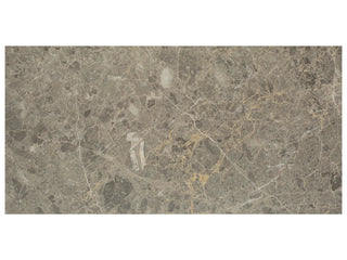 Velutto Ash 12x24 Tile & Stone by Anatolia Tile