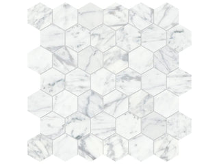Virtue Bianco Hexagon 2" Tile & Stone by Anatolia Tile