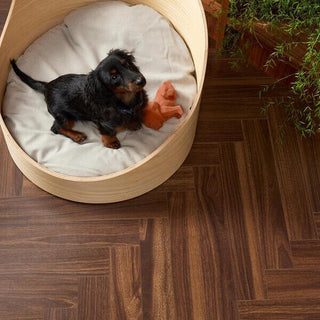 Walnut Brown Water Resistant Laminate by BerryAlloc