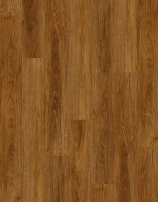 Warden Vinyl by TAS Flooring