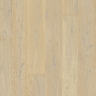 White daisy oak extra matt Engineered Hardwood by Quickstep