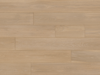 WHITE OAK DANDELION Engineered Hardwood by Reward Flooring