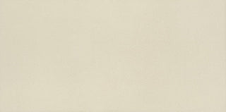 White Rectangle Tile & Stone by American Olean