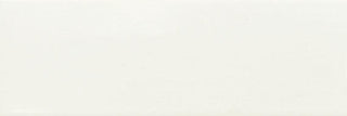 White Rectangle Tile & Stone by American Olean
