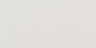 White Rectangle Tile & Stone by American Olean