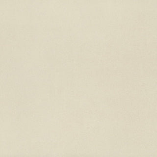 White Square Tile & Stone by American Olean