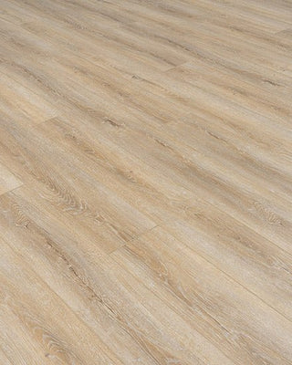 Wild Applause Vinyl by Provenza
