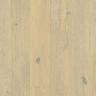 Wintry forest oak extra matt Engineered Hardwood by Quickstep