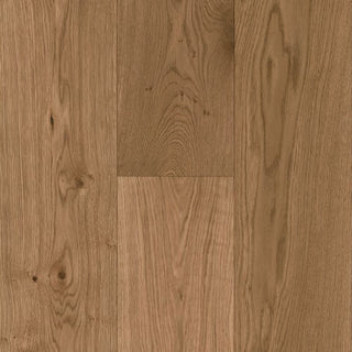 Woodland Enterprise in Delightful Shade Engineered Hardwood by Paradiso
