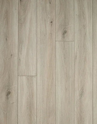 Woodlands - Shell spc by Stanton