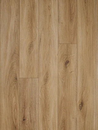 Woodlands - Toffee spc by Stanton